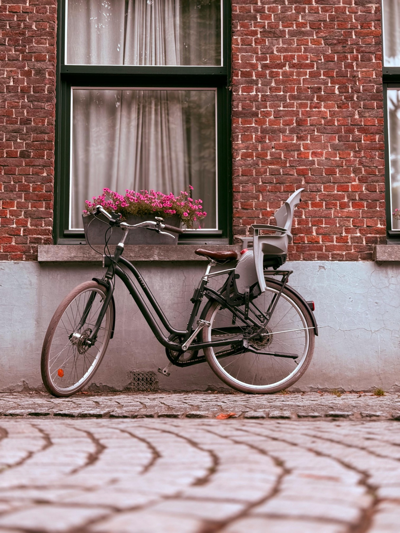 Fietsstoeltje
